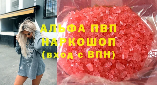 гашик Аркадак