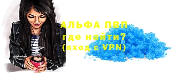 ешки Весьегонск