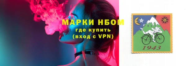 ешки Арсеньев