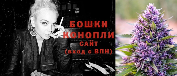 ешки Арсеньев