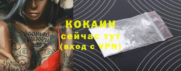 гашик Аркадак