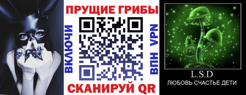 Псилоцибиновые грибы Psilocybe  купить   Дно 